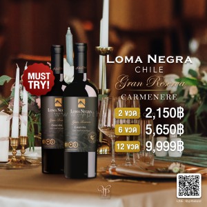 Loma Negra Chile พร้อมส่ง ราคา พิเศษ