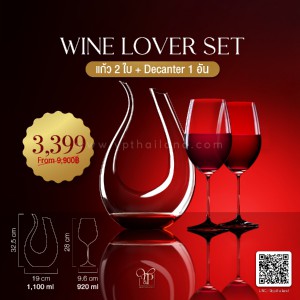 PREMIUM WINE GLASS & DECANTER GLASS SET ชุดแก้วไวน์สุดคุ้ม