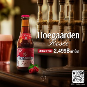 Hoegaarden Rosee เบียร์โฮการ์เด้น โรเซ่ พร้อมส่งทันที! ราคาถูกที่สุด