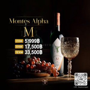 Montes Alpha M ไวน์แดงสุดปังจากประเทศชิลี 🇨🇱 คะแนน 97 Point! พร้อมส่งทันที!