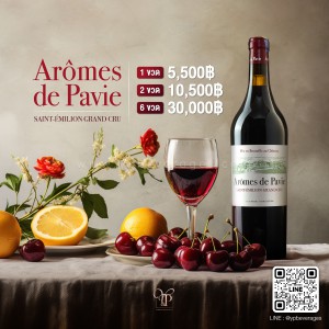 CHATEAU PAVIE AROMES DE PAVIE SAINT-EMILION 2017