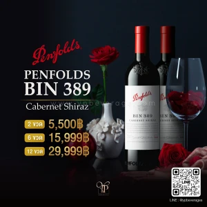 PENFOLDS BIN 389 CABERNET SHIRAZ ไวน์แดงระดับตำนานจากออสเตรเลีย🍷🇦🇺