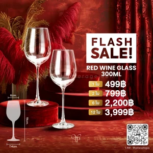 RED WINE GLASS WITH CLEAR STEM 300 ML