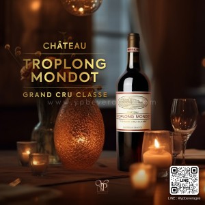 CHATEAU TROPLONG MONDOT 2011 SAINT-EMILION 1ST GRABD CRU CLASSE