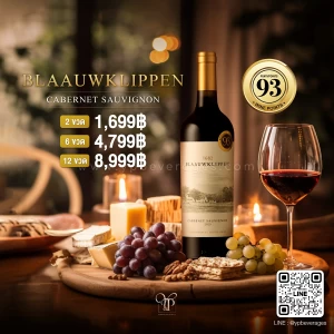 BLAAUWKLIPPEN CABERNET SAUVIGNON การันตีความอร่อยด้วยคะแนน 93 POINT!