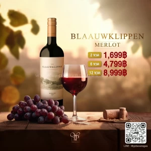 BLAAUWKLIPPEN MERLOT ไวน์แดงแห่งฤดูร้อน ⛱️ เอาใจสายฟรุตตี้จากแอฟริกาใต้ 🍷🇿🇦