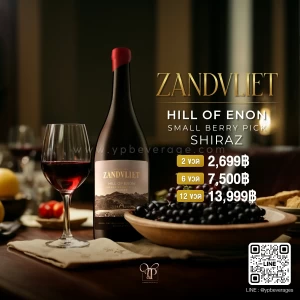 ZANDVLIET HILL OF ENON SMALL BERRY PICK SHIRAZ