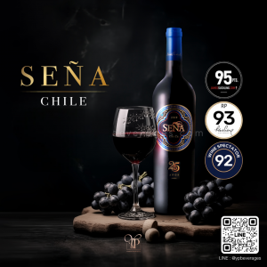Seña Chile ไวน์ไอคอนตัวแรกของประเทศชิลี 🍷🇨🇱